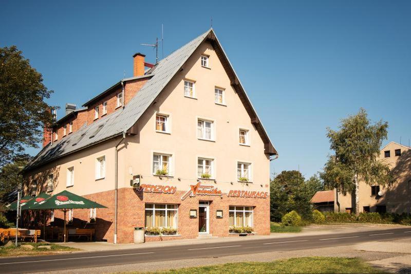 Penzion Avionika Kovářská Esterno foto